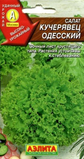 Семена. Салат «Кучерявец Одесский», 0,5 г