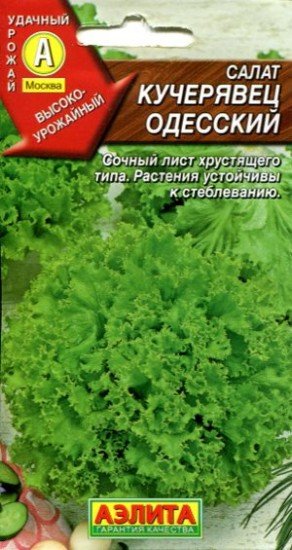 Семена. Салат «Кучерявец Одесский», 0,5 г