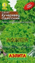 Семена. Салат «Кучерявец Одесский», 0.5 г