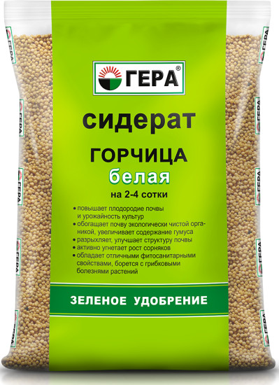 Сидерат «Горчица белая»