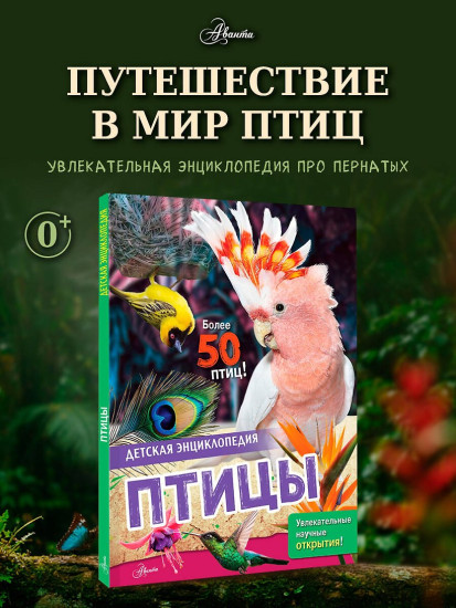 Птицы