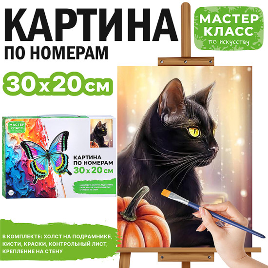 Картина по номерам «Черный кот»