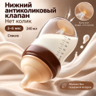 от 3 месяцев