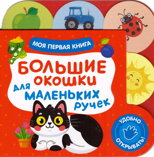 Моя первая книга