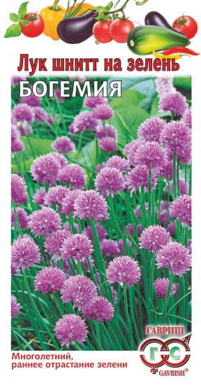 Лук шнитт «Богемия»,0,5 г