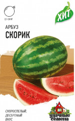 Семена. Арбуз «Скорик»