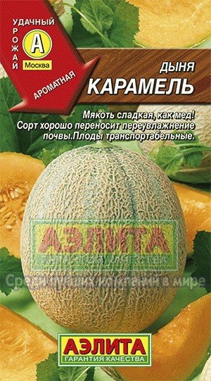 Семена. Дыня «Карамель», 1 г