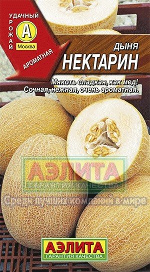 Семена. Дыня «Нектарин», 1 г