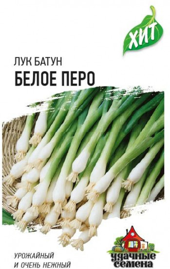 Семена. Лук Батун «Белое перо»