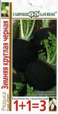 Семена. Редька «Черная зимняя круглая»