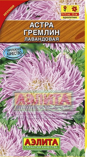 Семена. Астра «Гремлин лавандовая», 0,2 г