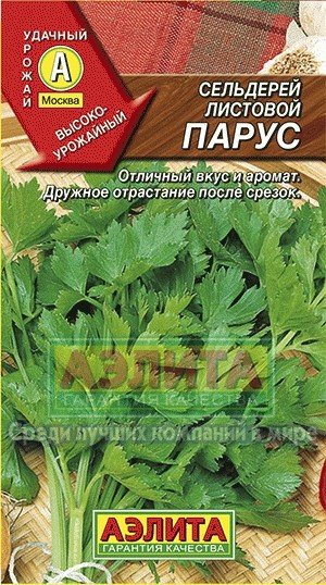 Семена. Сельдерей листовой «Парус», 0,5 г