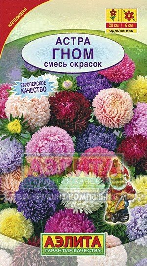 Семена. Астра «Семь гномов», смесь, 0,2 г