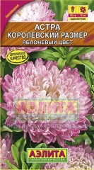 Семена. Астра «Королевский размер, яблоневый цвет», 0,1 г