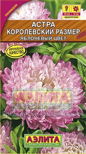 Семена. Астра «Королевский размер, яблоневый цвет», 0,1 г