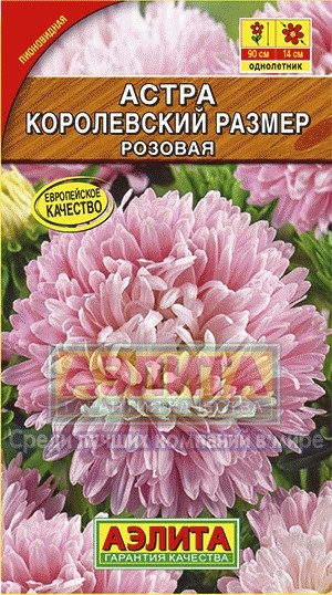 Семена. Астра «Королевский размер» розовая, 0,1 г
