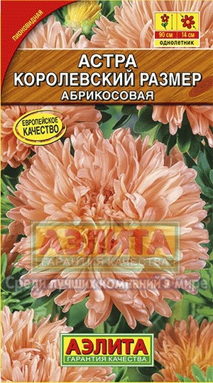 Семена. Астра «Королевский размер» абрикосовая, 0,1 г