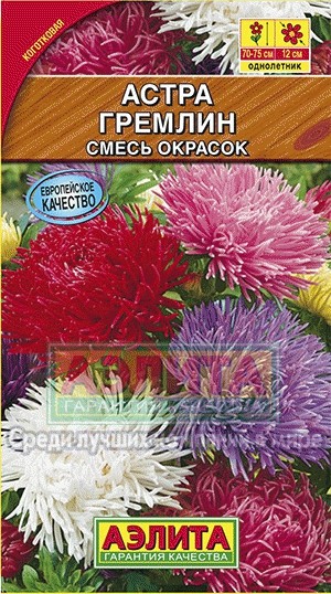 Семена. Астра «Гремлин», смесь