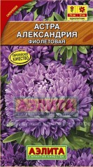 Семена. Астра «Александрия фиолетовая», 0,1 г