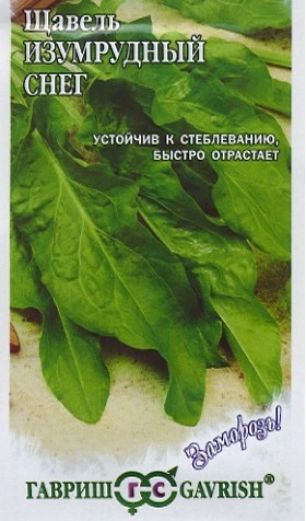 Семена. Щавель «Изумрудный снег»