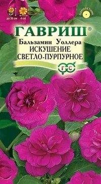 Семена. Бальзамин Уоллера «Искушение светло-пурпурное F1»