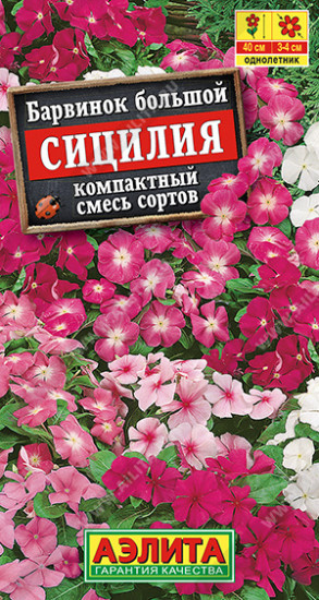 Семена. Барвинок «Сицилия», компактный, смесь