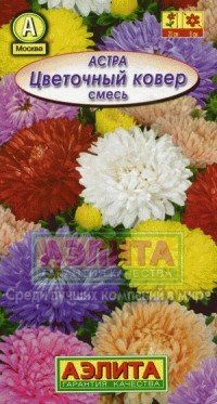 Семена. Астра «Цветочный ковер», смесь, 0,3 г