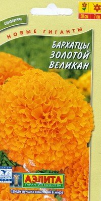 Семена. Бархатцы «Золотой великан», 0,1 г