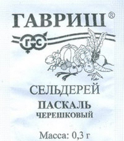 Семена. Сельдерей «Паскаль»
