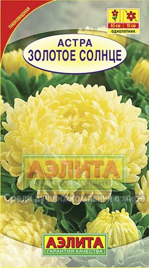 Семена. Астра пионовидная «Золотое солнце», 0,2 г