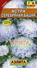 Семена. Астра «Серебряная башня», 0,2 г