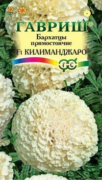 Семена. Бархатцы «Килиманджаро F1», 0,05 г