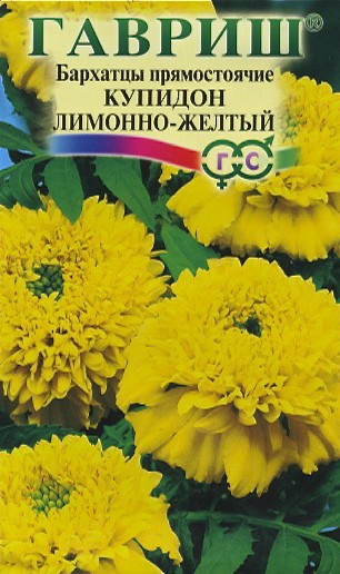 Семена. Бархатцы «Купидон лимонно-желтый», 0,05 г