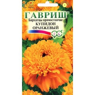 Семена. Бархатцы «Купидон оранжевый», 0,05 г