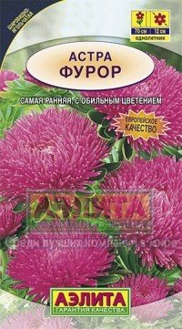Семена. Астра «Фурор», шаровидно-игольчатая, 0,3 г