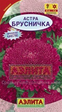 Семена. Астра «Брусничка», 0,2 г