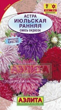 Семена. Астра «Июльская», смесь, 0,2 г