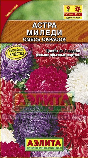 Семена. Астра «Миледи» смесь, 0,2 г