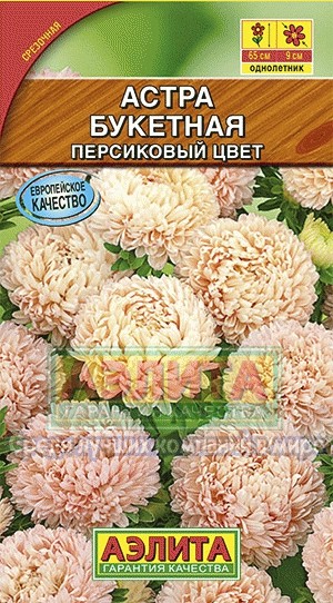 Семена. Астра «Букетная», персиковый цвет, 0,2 г