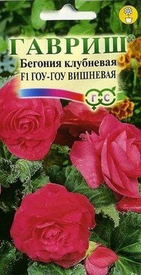 Семена. Бегония «Гоу-гоу F1»