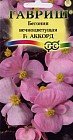 Семена. Бегония «Аккорд F1»