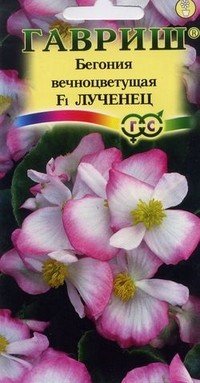 Семена. Бегония «Лученец F1»