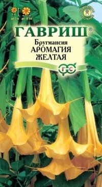 Семена. Бругмансия «Аромагия желтая»