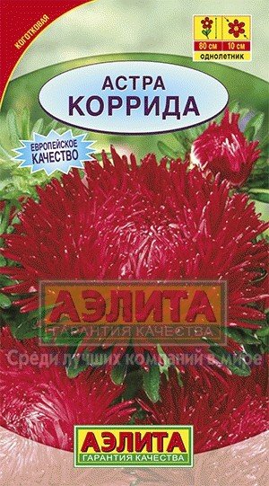 Семена. Астра коготковая «Коррида», 0,2 г