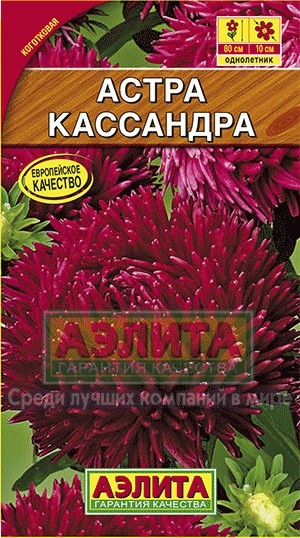 Семена. Астра «Кассандра», 0,2 г
