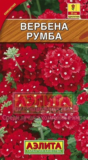 Семена. Вербена «Румба», 0,05 г