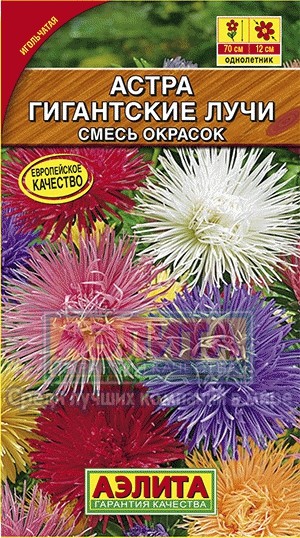 Семена. Астра «Гигантские лучи», смесь, 0,2 г