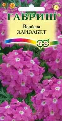 Семена. Вербена «Элизабет», 0,05 г