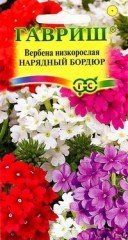 Семена. Вербена низкорослая «Нарядный бордюр», 0,1 г
