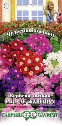 Семена. Вербена «Рио де Жанейро», 0,1 г